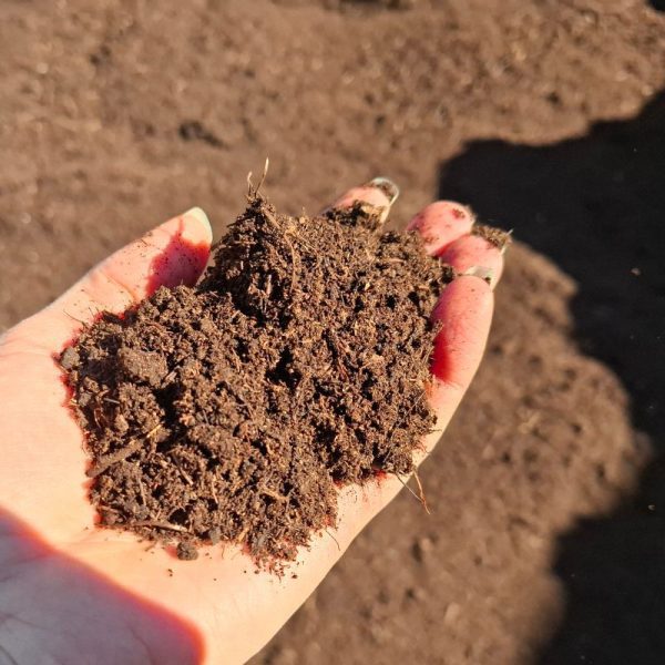 screened hauraki Spagnum moss peat