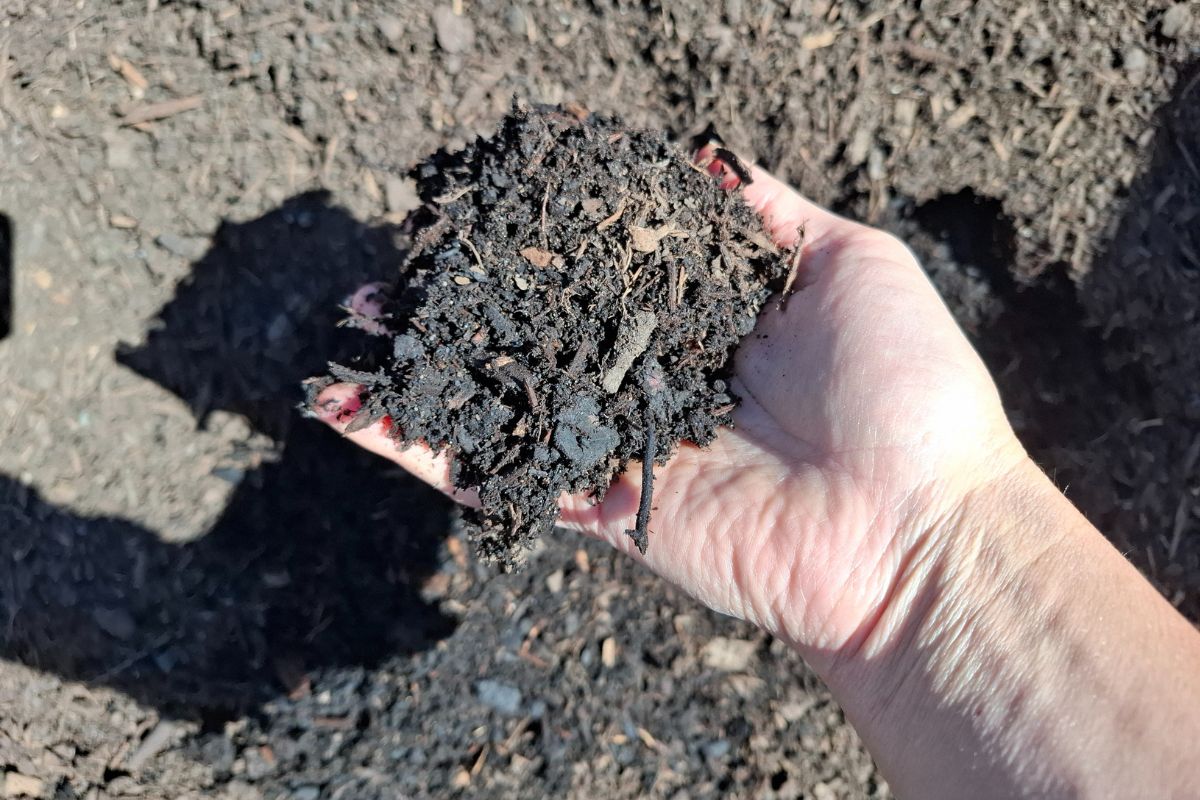 bays filled with compost and bulk mulch for delivery tauranga