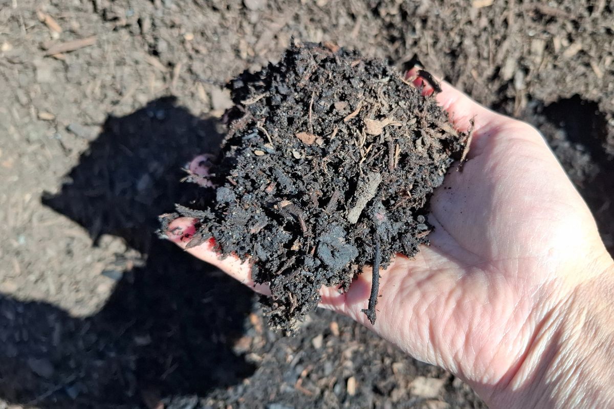 handful of our premium compost