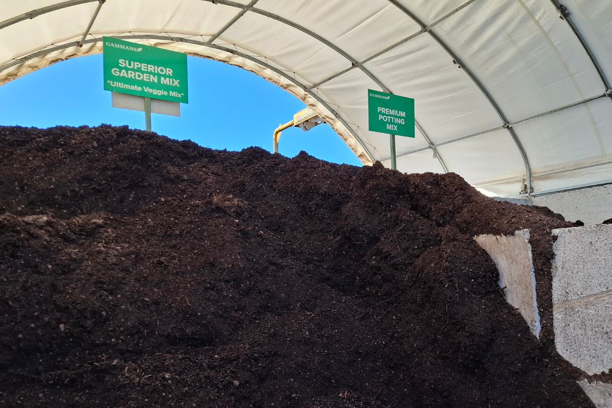 our popular vegetable mix boosts soil in springtime