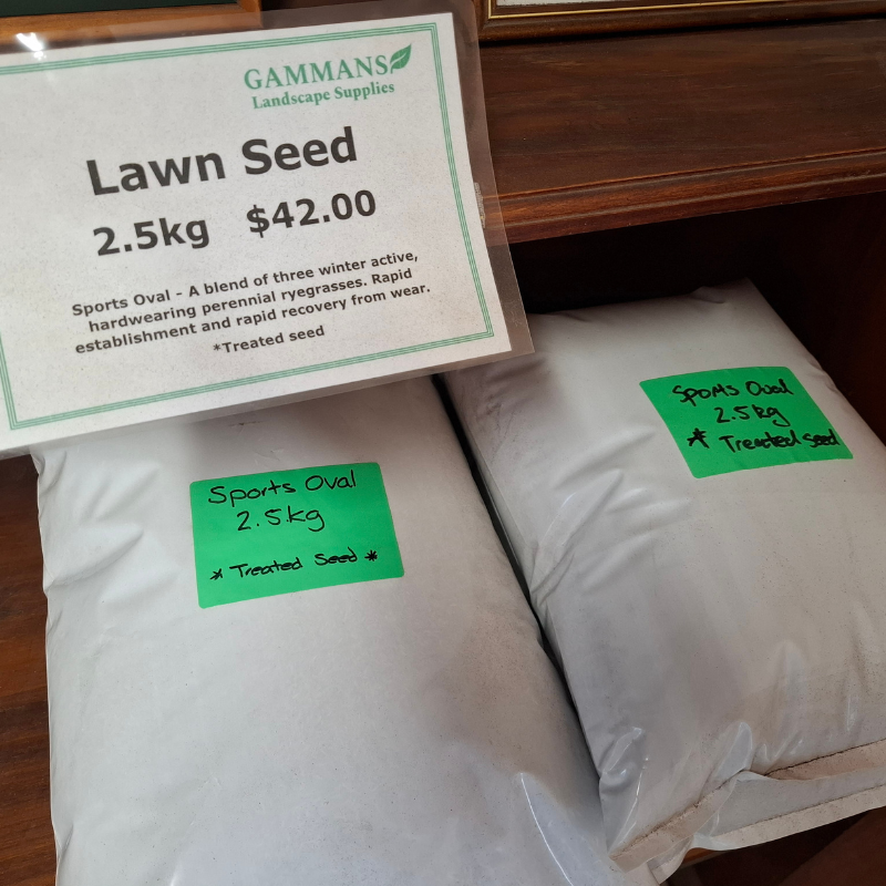 buy lawn seed near me
