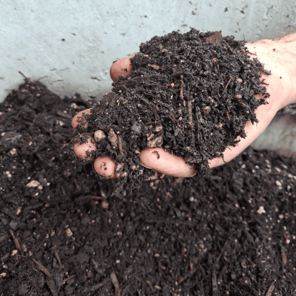 premium potting mix near me