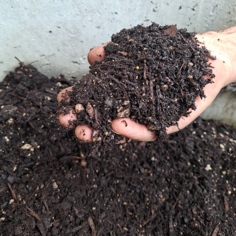 premium potting mix near me