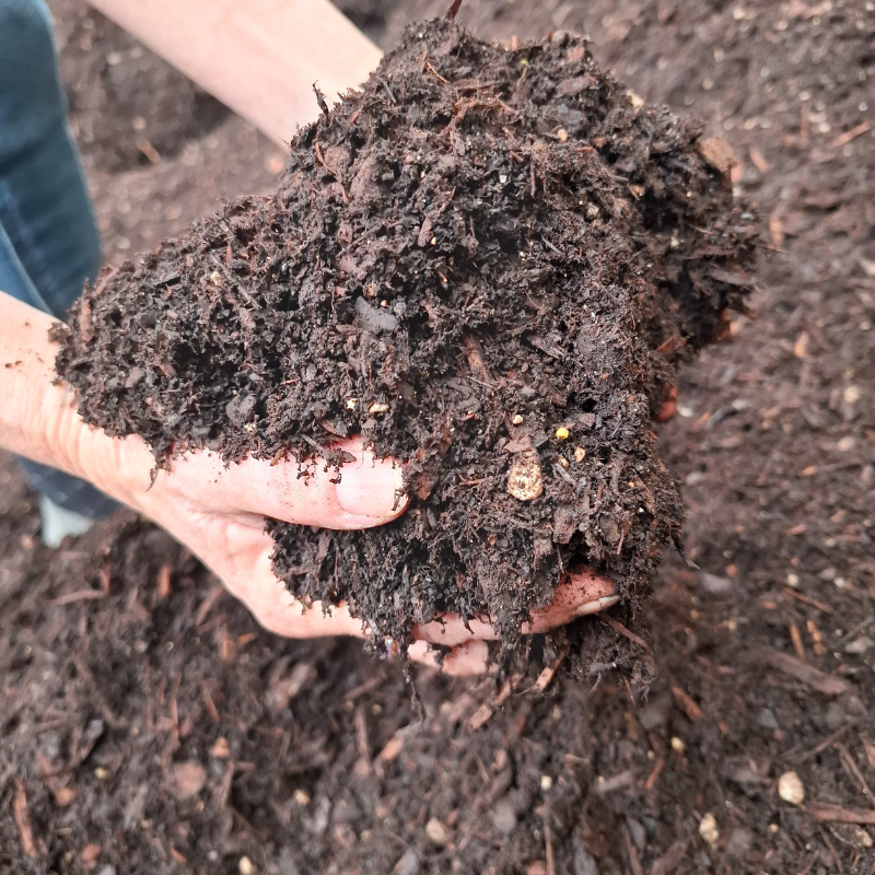 premium vegetable mix