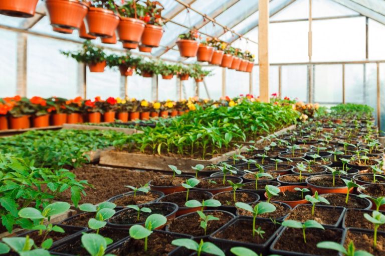 benefits of using bulk delivery potting mix in a nursery