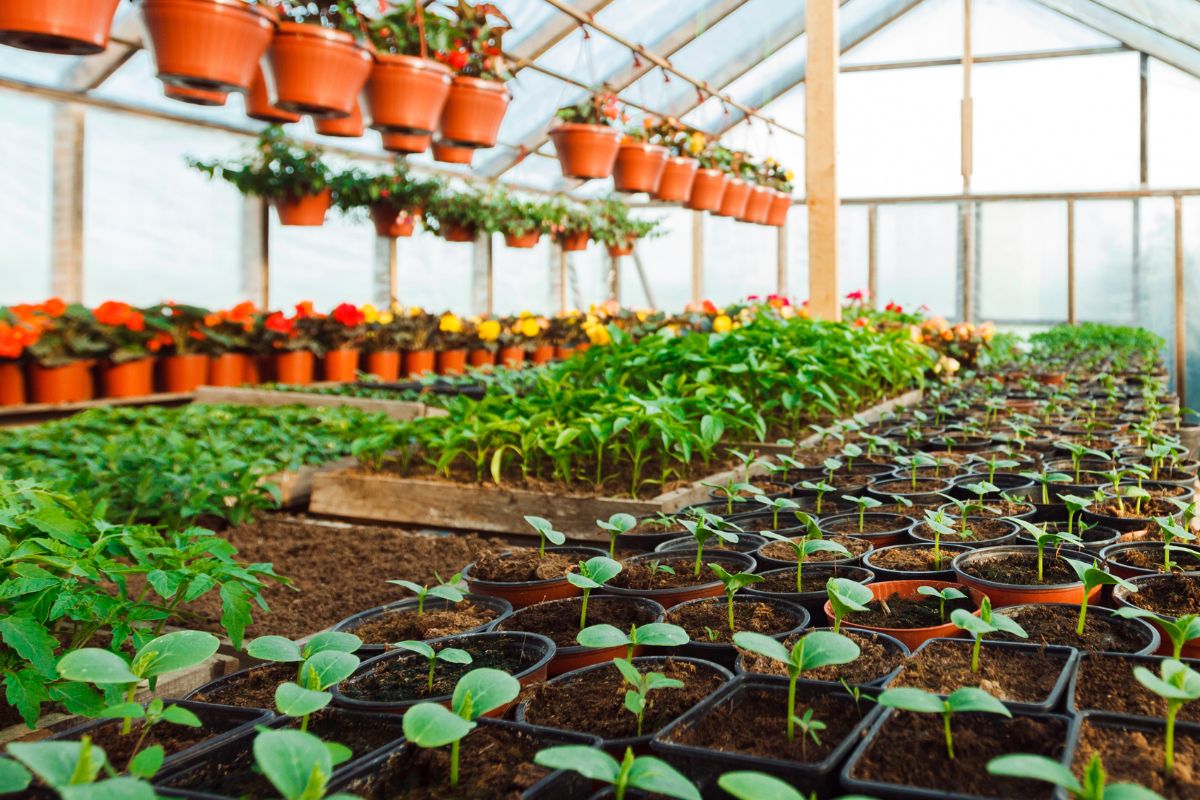 benefits of using bulk delivery potting mix in a nursery