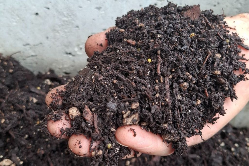 handful of our custom potting soil