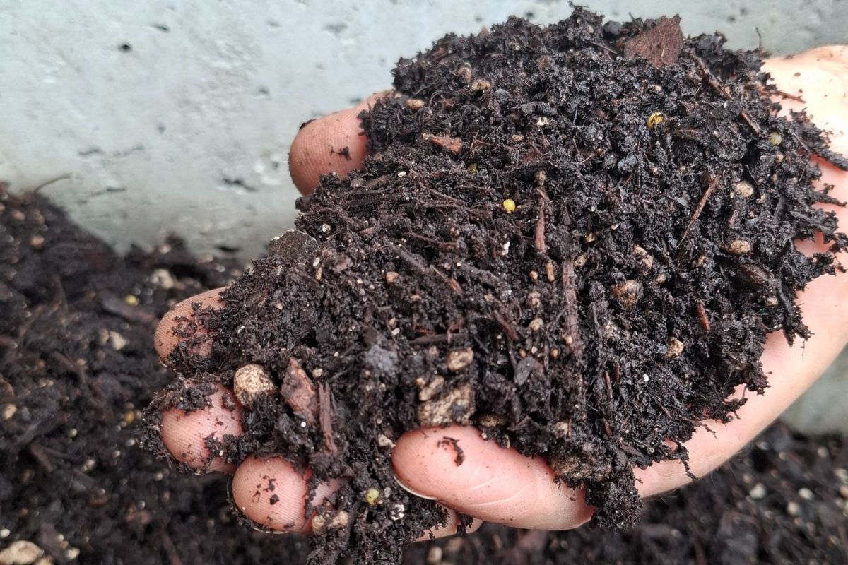 handful of our custom potting soil
