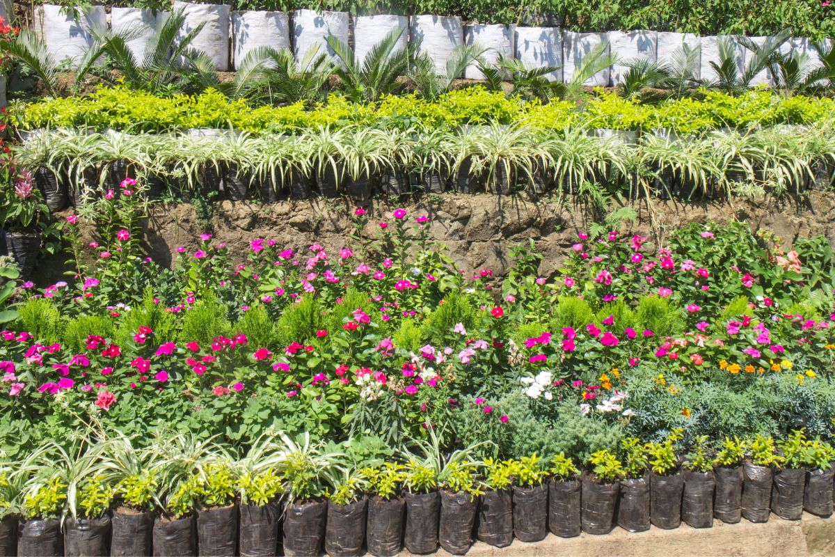plants in a nursery need a custom potting mix blend as they have different needs