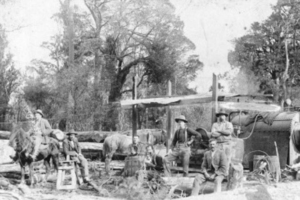 gammans family heritage as sawmillers turned landscape suppliers