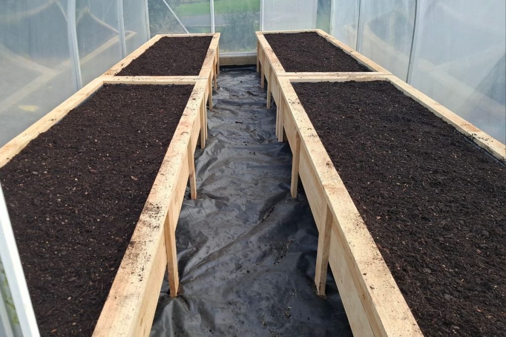 vegetable mix in raised garden beds in a greenhouse